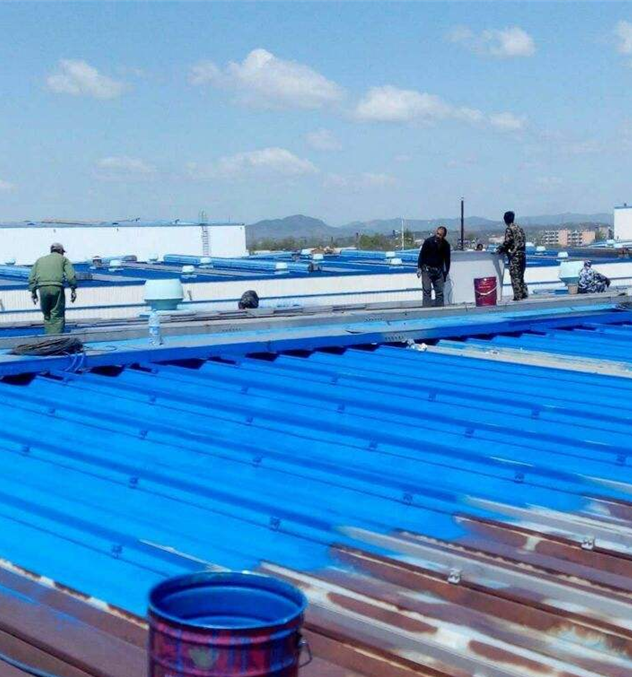 ��ϩ�����������