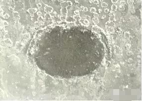 水性無(wú)機(jī)富鋅底漆的反應(yīng)機(jī)理示意圖